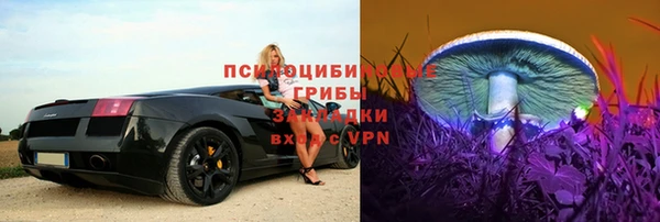 индика Абинск