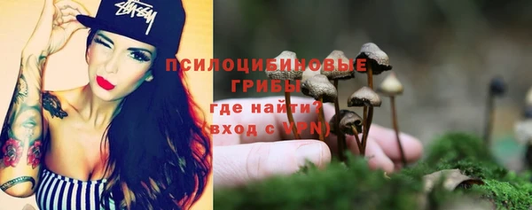 индика Абинск