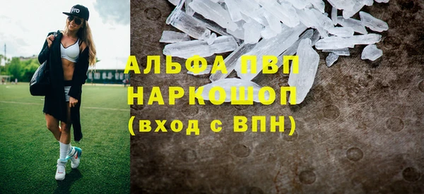индика Абинск
