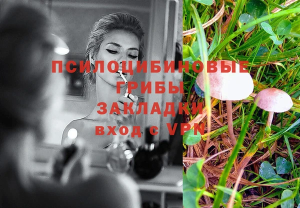 СК Саяногорск